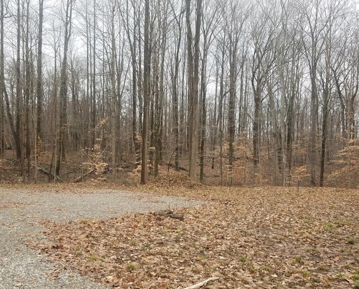 Martinsville Wooded Homesite